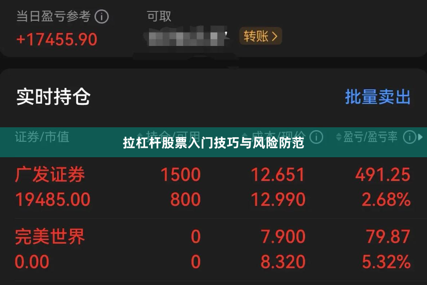 拉杠杆股票入门技巧与风险防范
